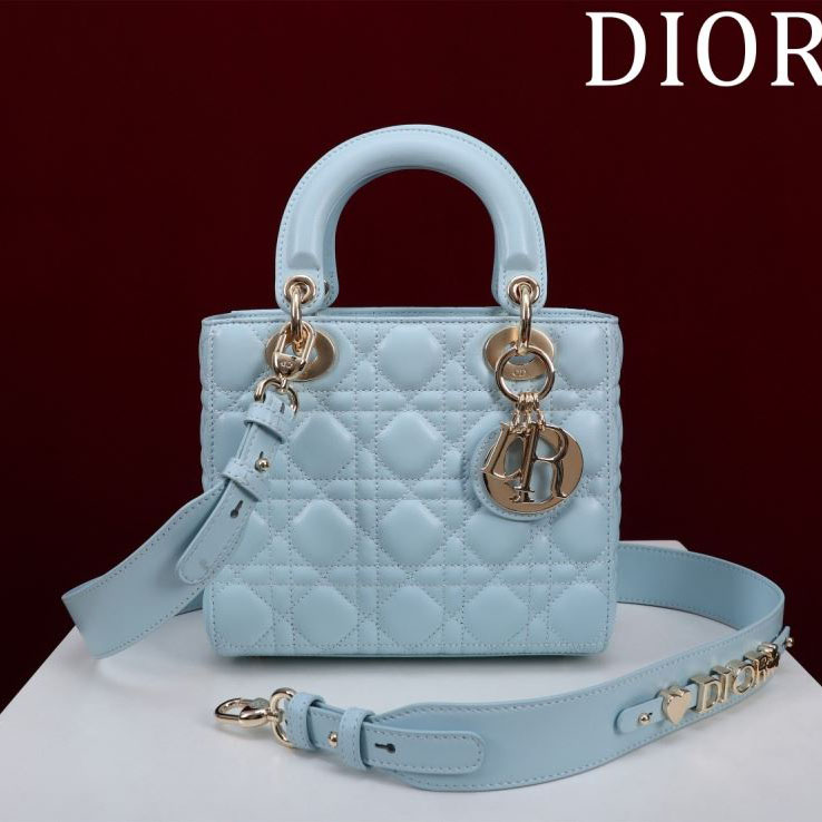 chr1st1an D10r my lady bags